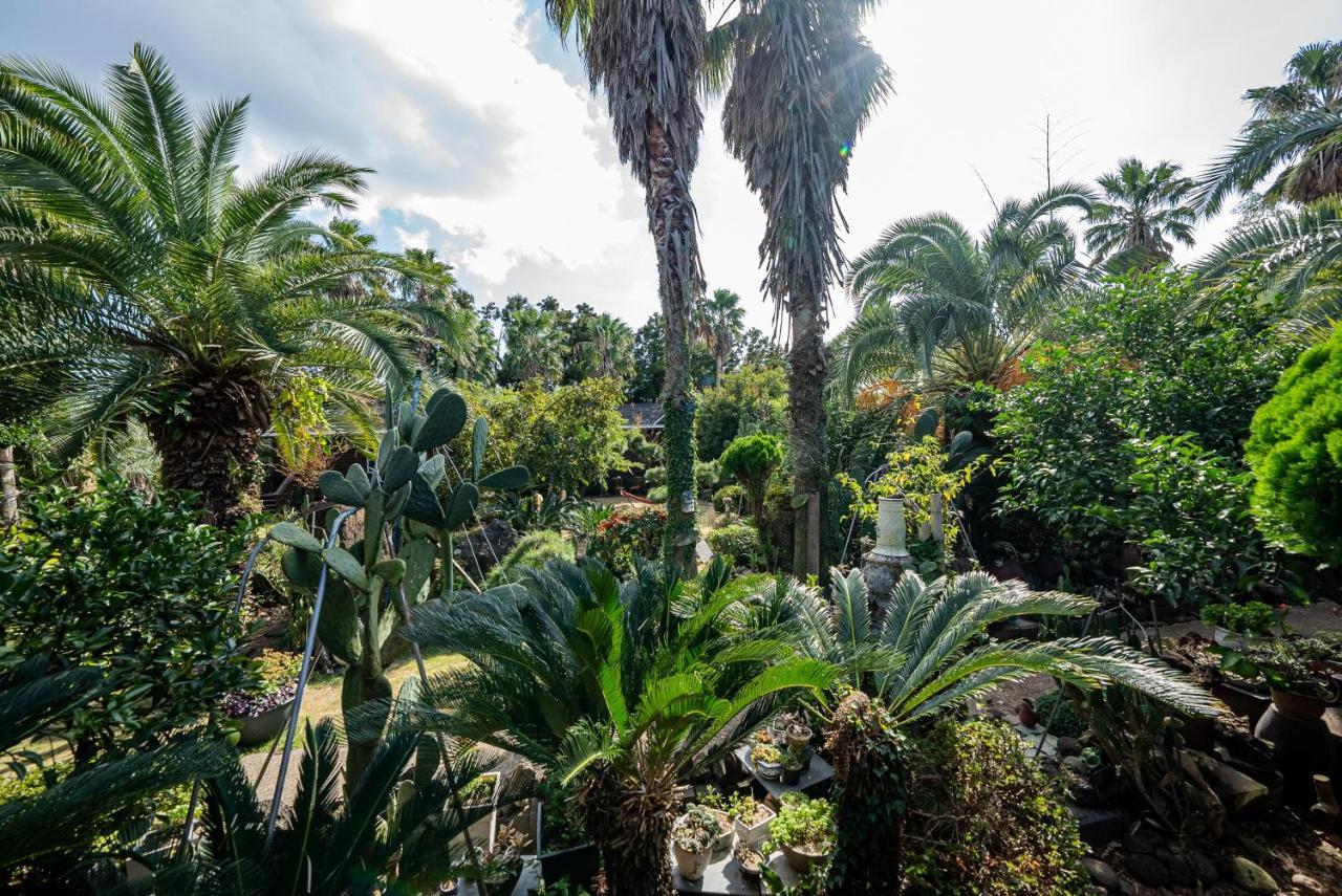 סאוגוויפו Valley Village מראה חיצוני תמונה